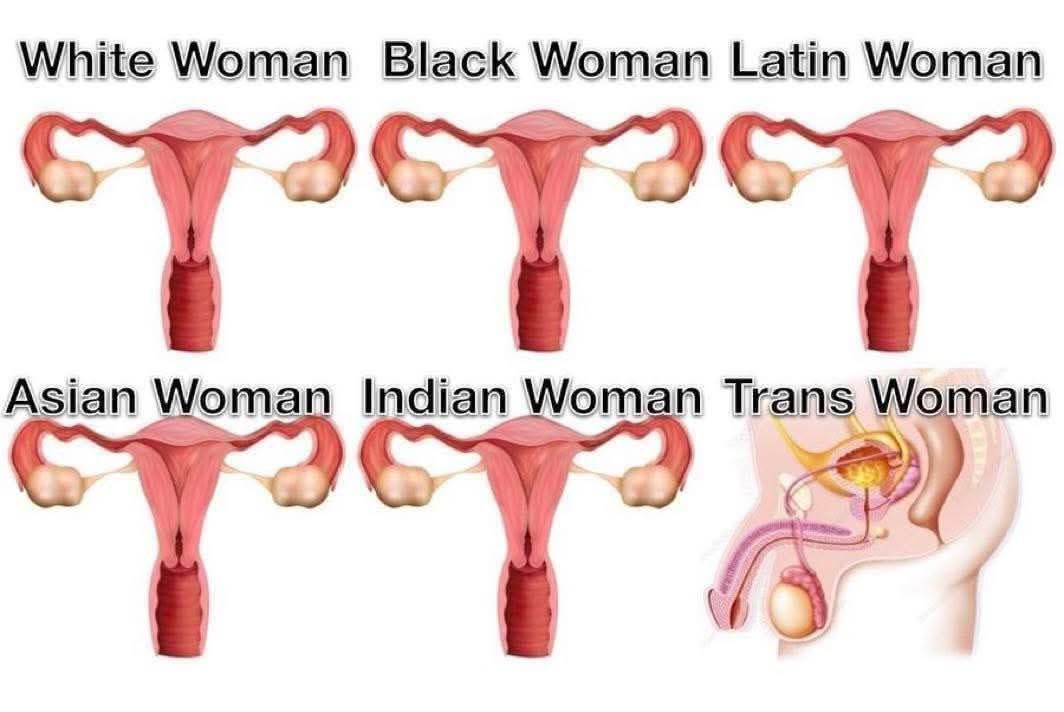 JameSmithorienn tweet media