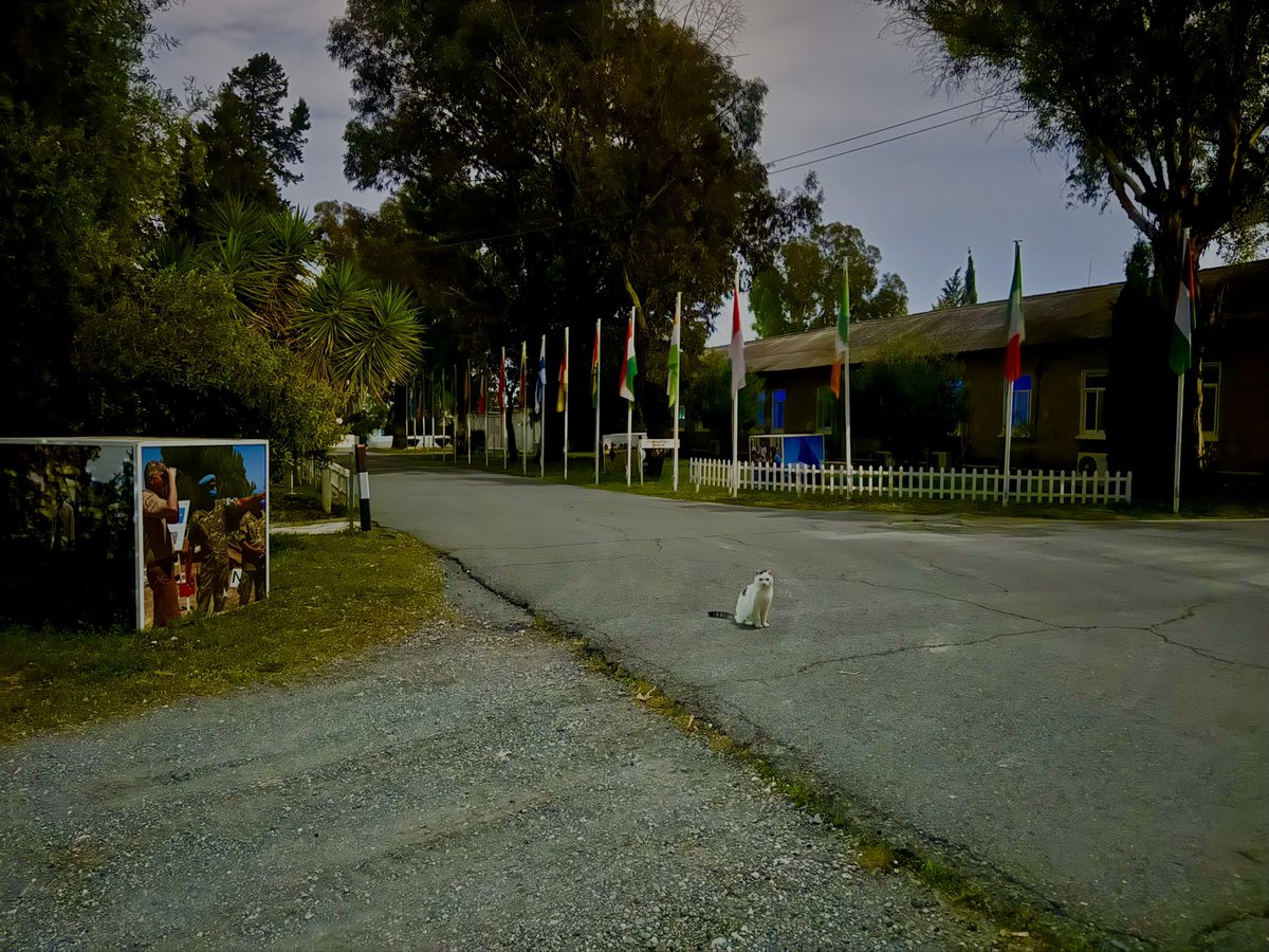 UN_CYPRUS's tweet image. This Saturday evening, #UNFICYP is joining the @UN and people around the world for  #EarthHour 2026. 

#ActNowForPeace: Switch off your lights from 8:30 - 9:30 p.m. local time  and show your support for #climateprotection and planet Earth. 🌍 

➡ Learn more here