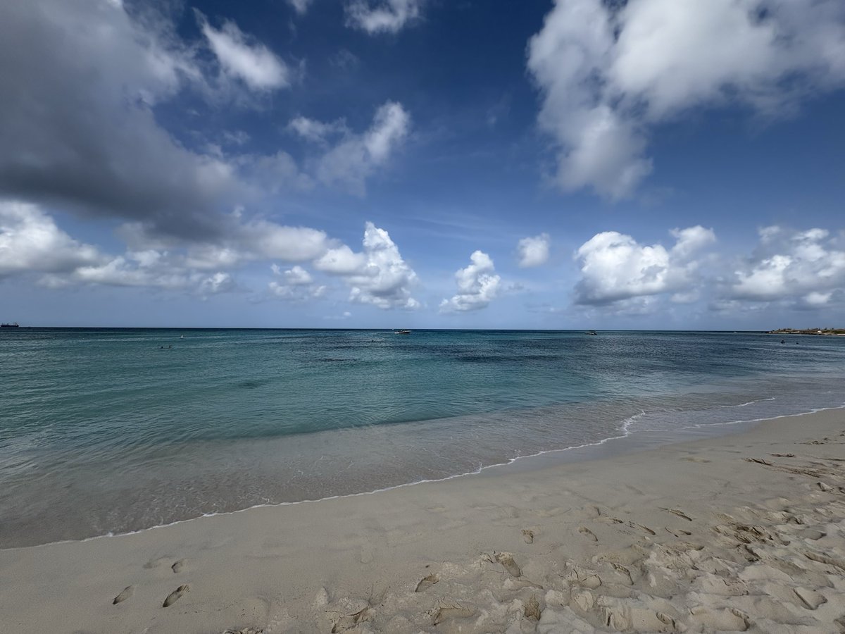 Yang Rising tweet media