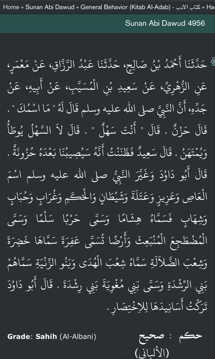 Wayfarer 🇵🇸 tweet media