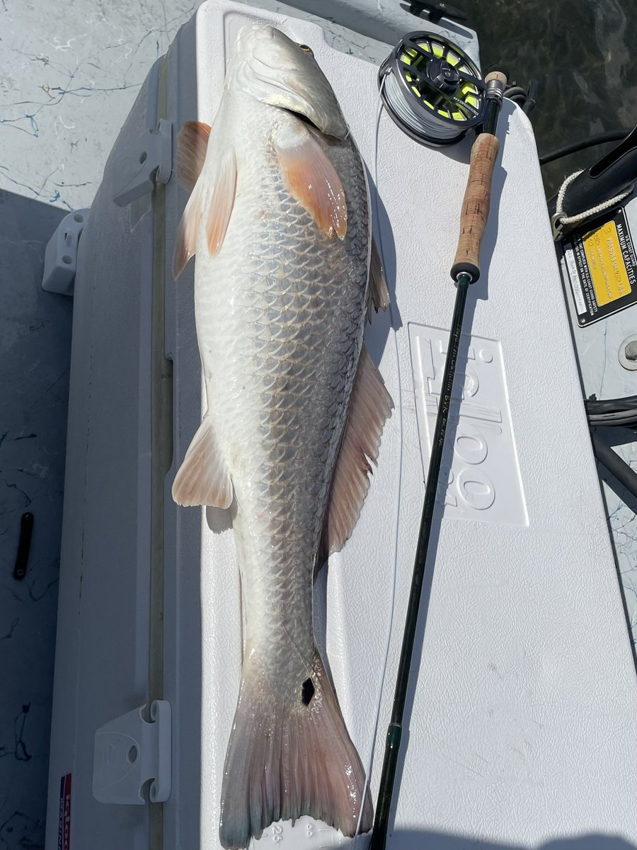 Trey Crocker tweet media