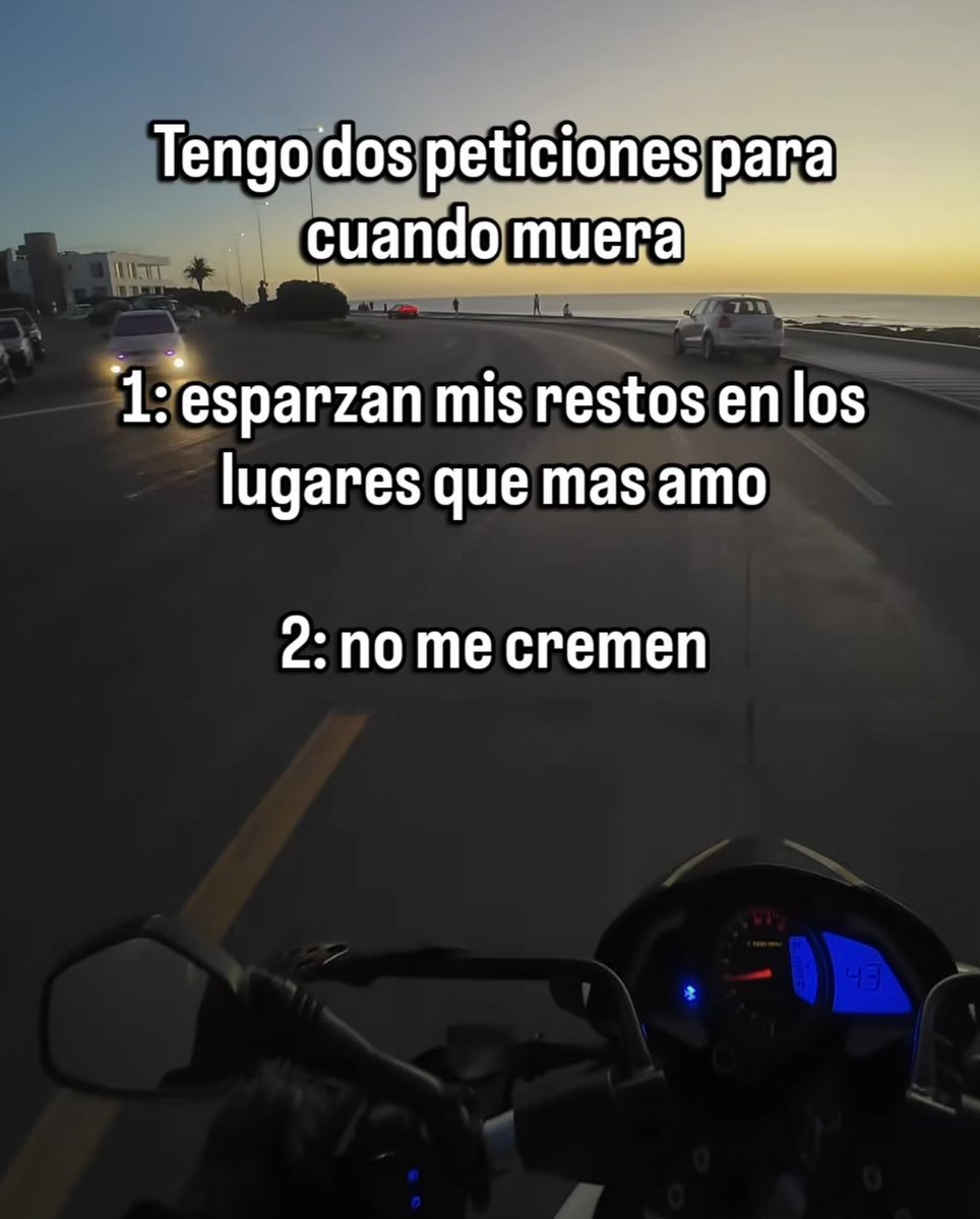 🇲🇽 México Mágico ✨ tweet media