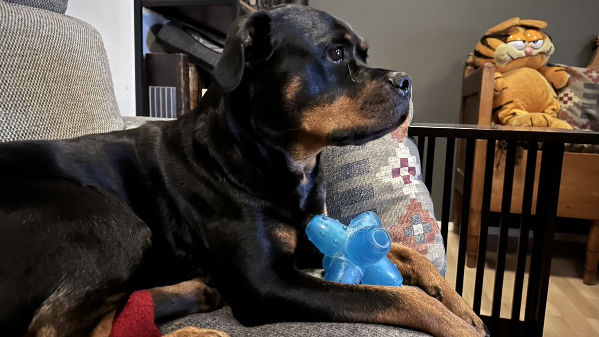 Kimma Rotikka tweet media