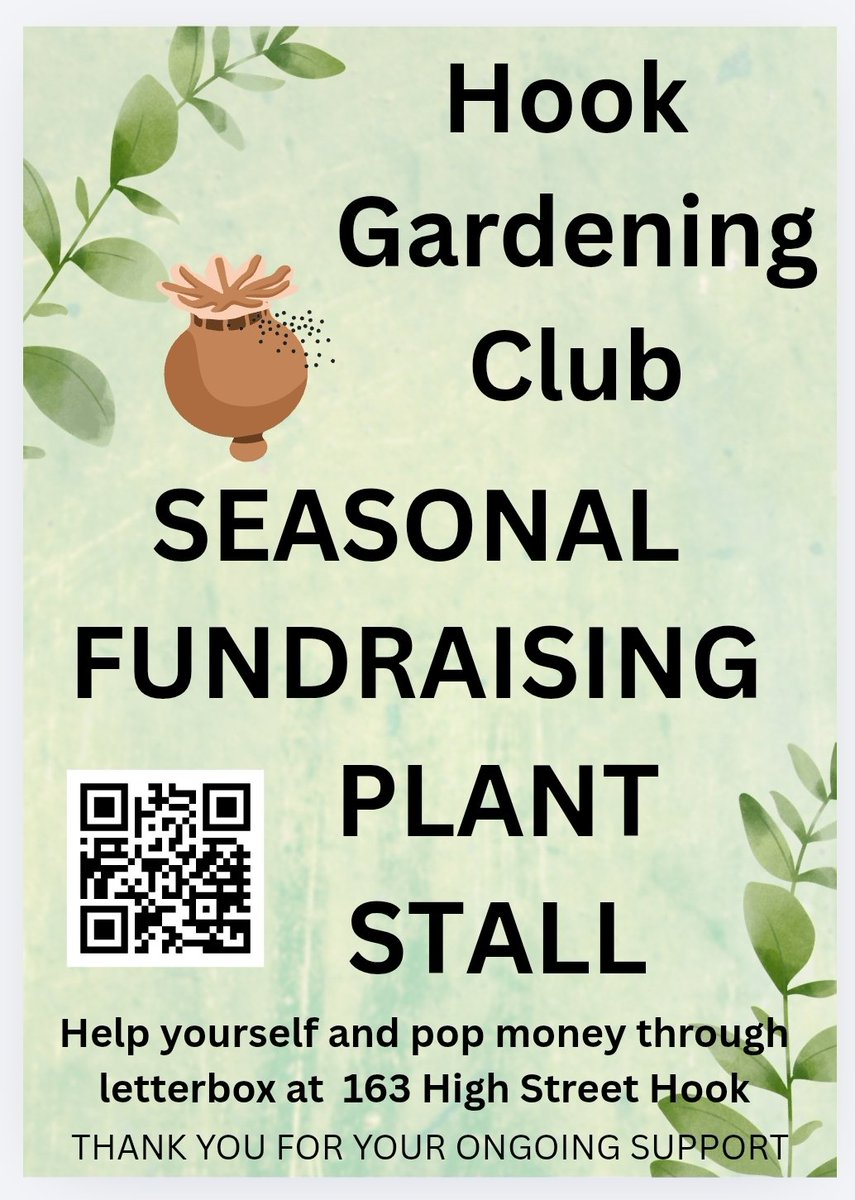 🦋 Hook Gardening Club 🌿 tweet media