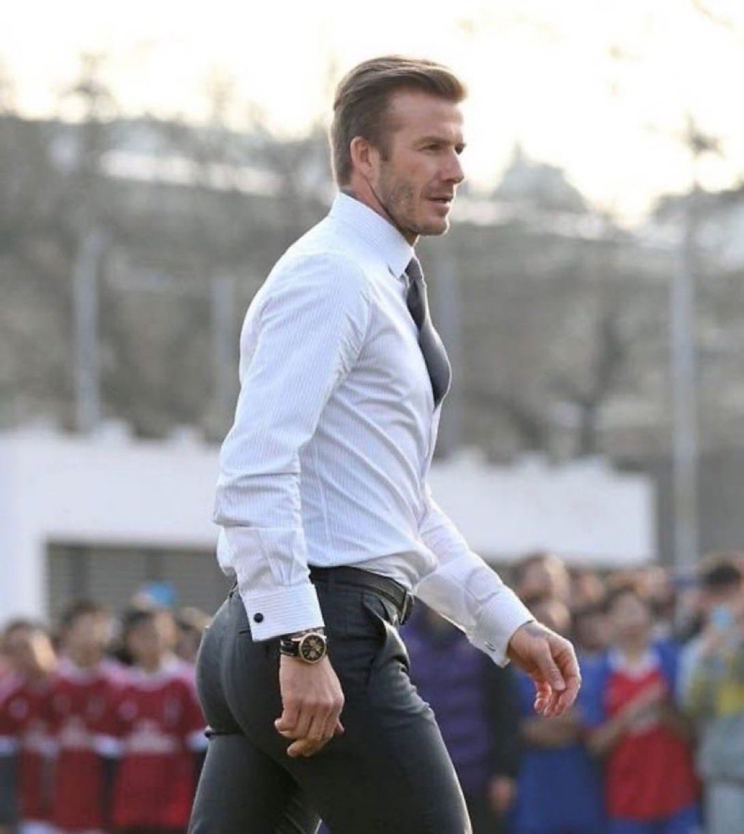 Male Central tweet media