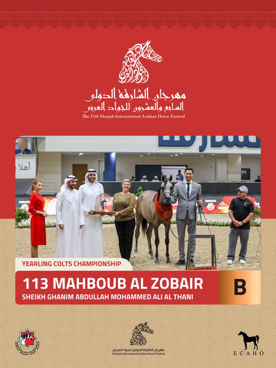 جمعية الإمارات للخيول العربية tweet media