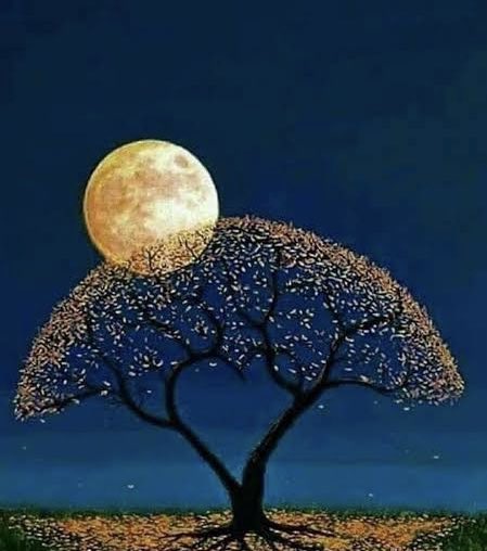 SATI CEBECİ tweet media