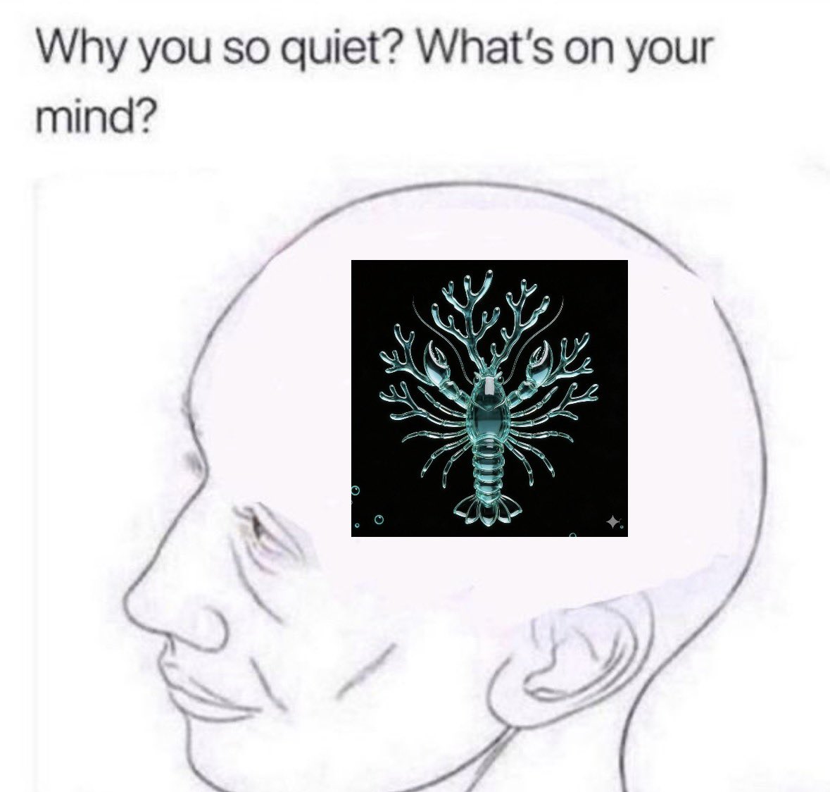 ser koji tweet media