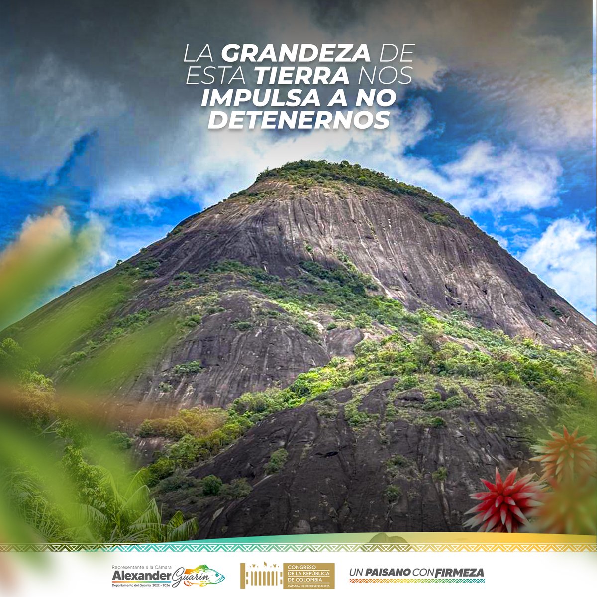 Alexander Guarín Silva tweet media