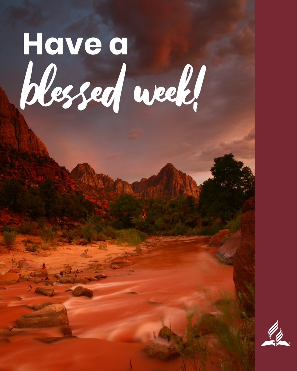 Adventist Church tweet media