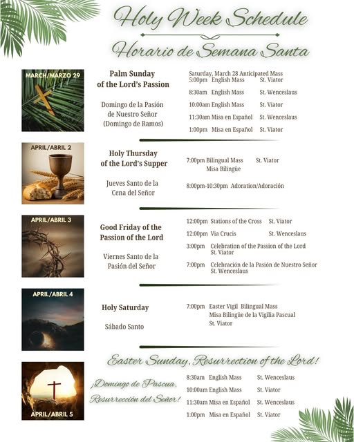 StViatorChi tweet media