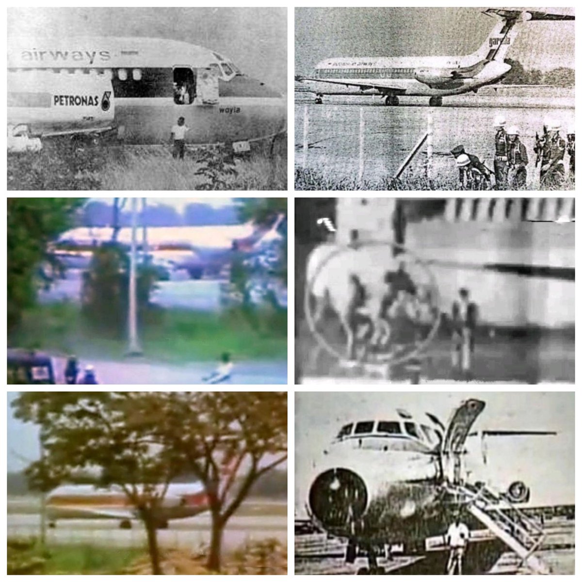 Francisco Cunha tweet media