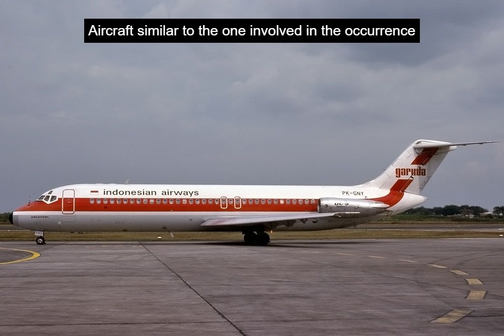 Francisco Cunha tweet media