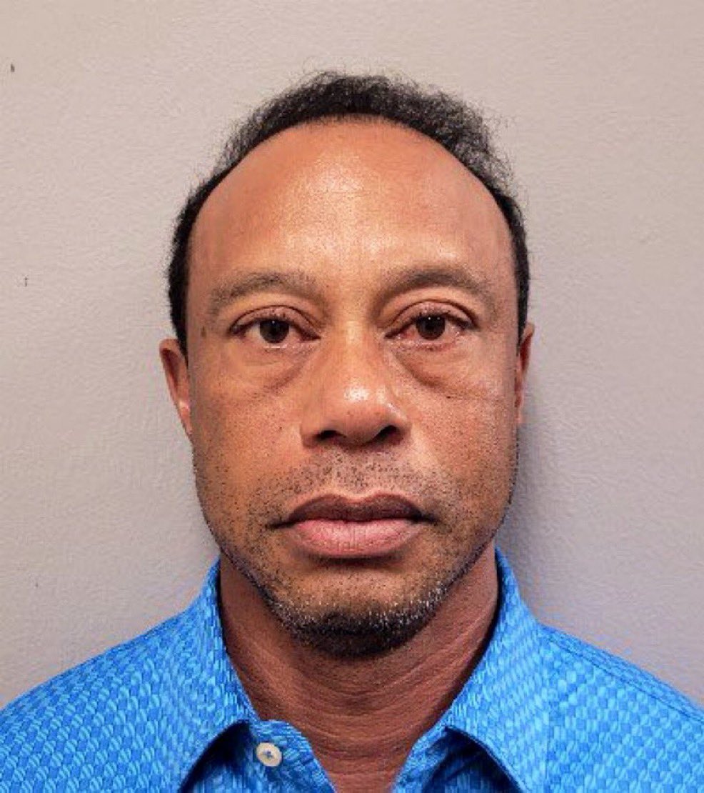 SanDiegoHumor tweet media