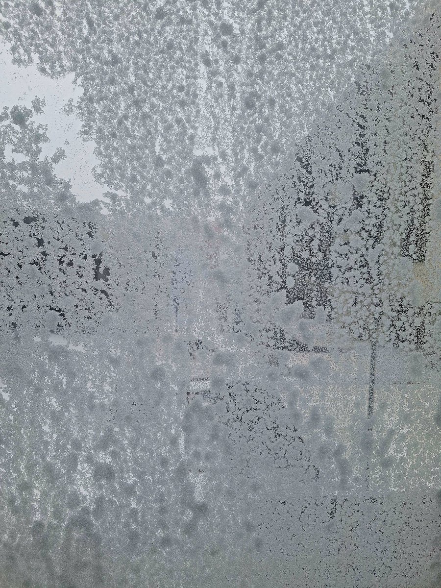 Iceland Cricket tweet media