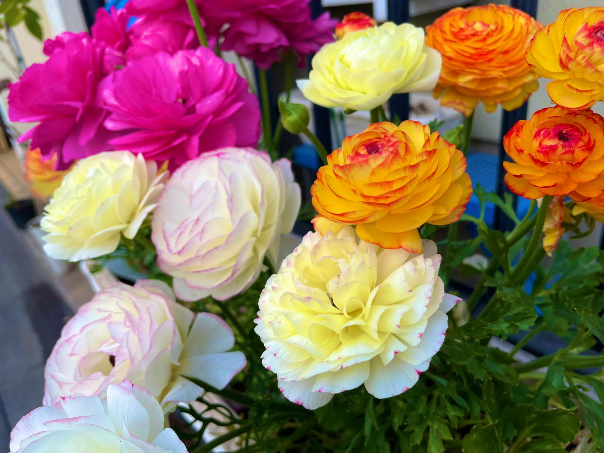 わにやのかあちゃん tweet media