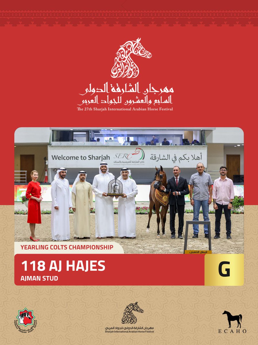 جمعية الإمارات للخيول العربية tweet media