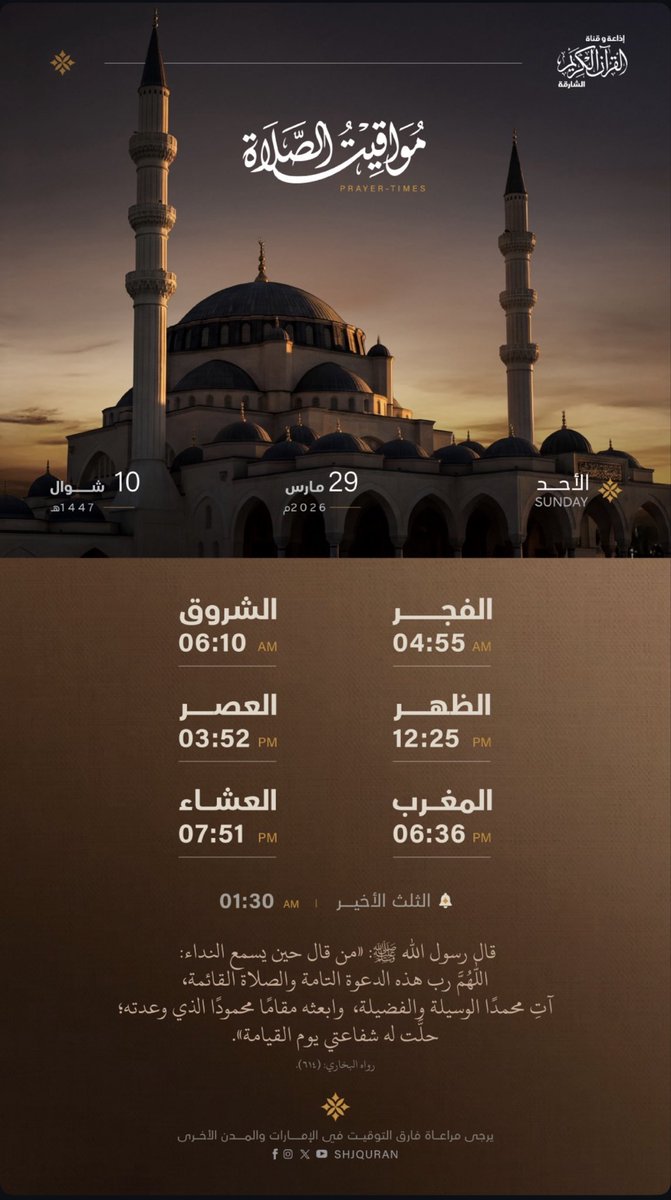 ساره حميداآان ~🌸 tweet media