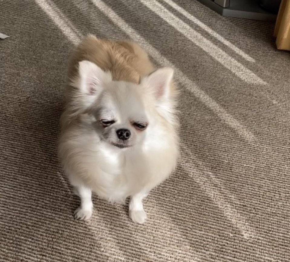 ちゅくた tweet media