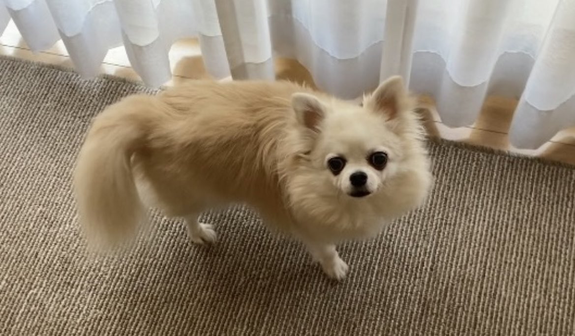 ちゅくた tweet media