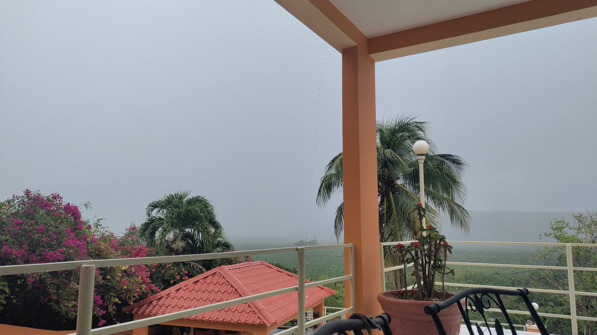 El café de las 3 pm, hoy con lluvia... doble bendición !!!