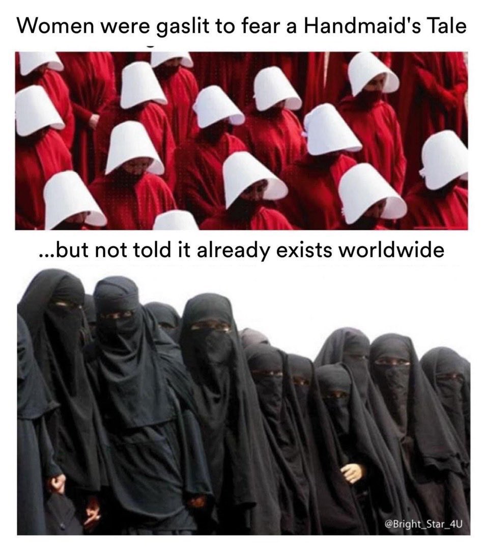 Mendozaszn2026 tweet media