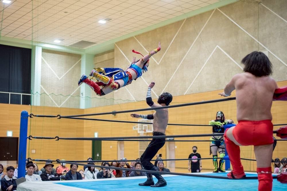 フライング・ペンギン tweet media