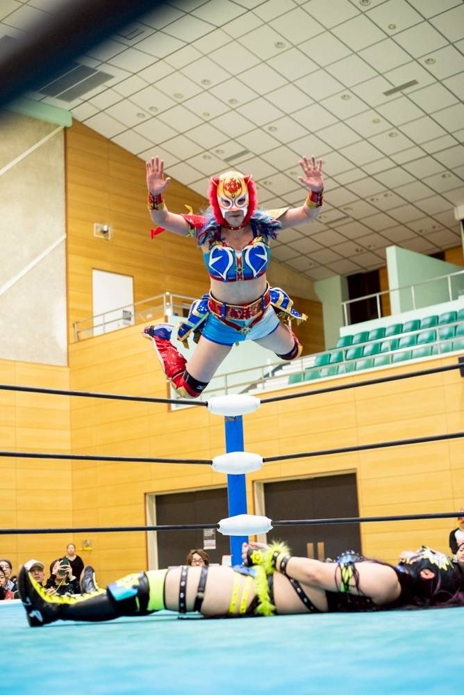 フライング・ペンギン tweet media