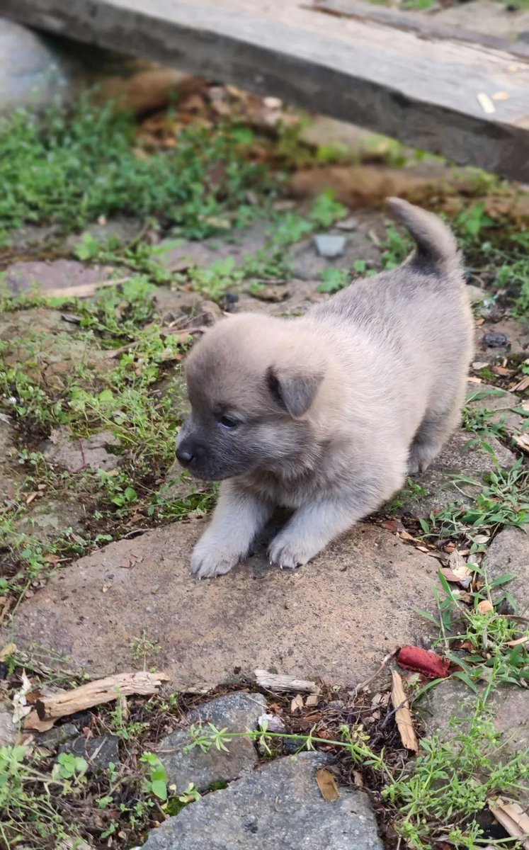 Adorable Boy tweet media