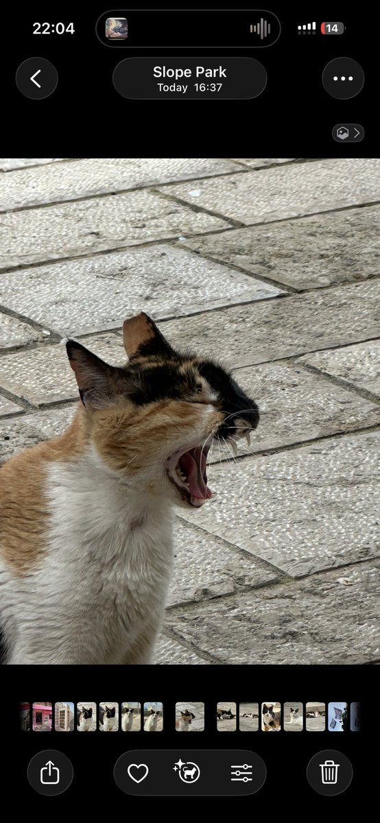 неудачная картина в галерее рамат гана tweet media