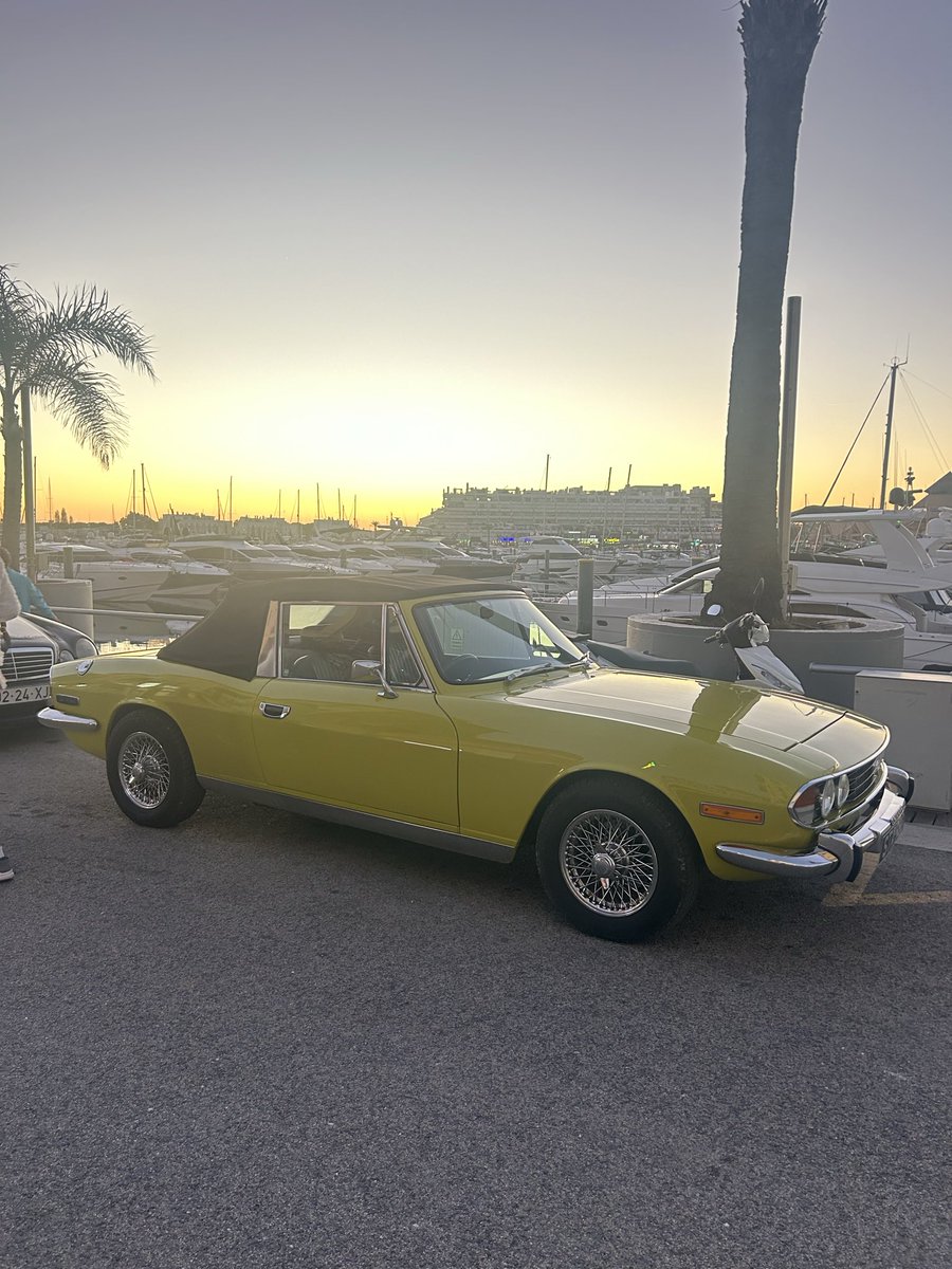 Kati Eaton🤍 tweet media