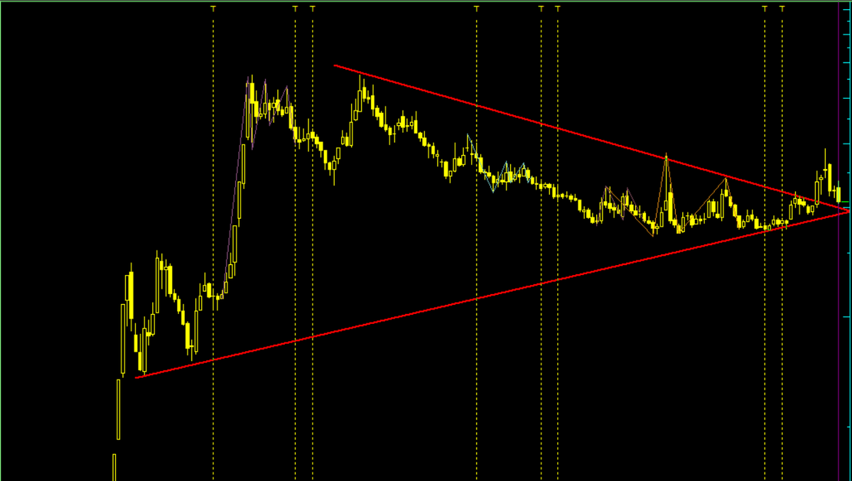 TraderAzra tweet media
