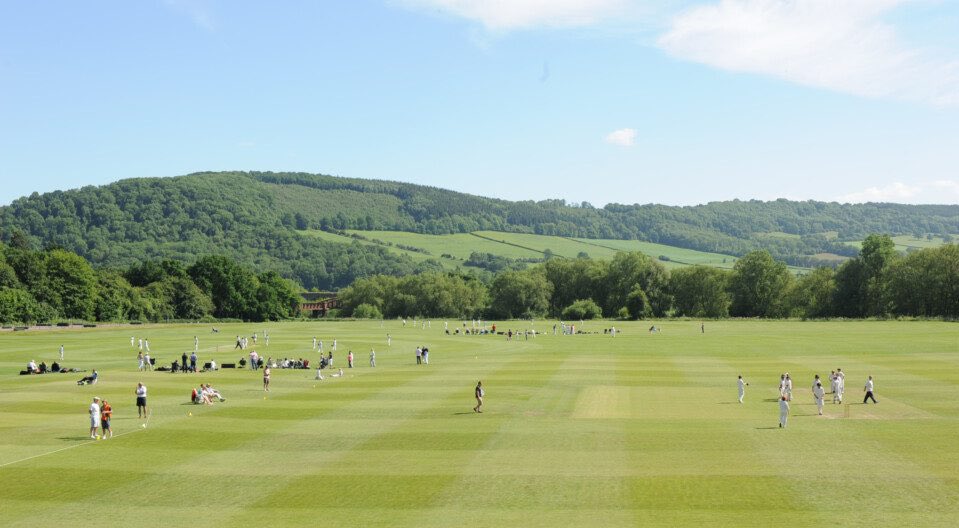 WG RumblePants tweet media