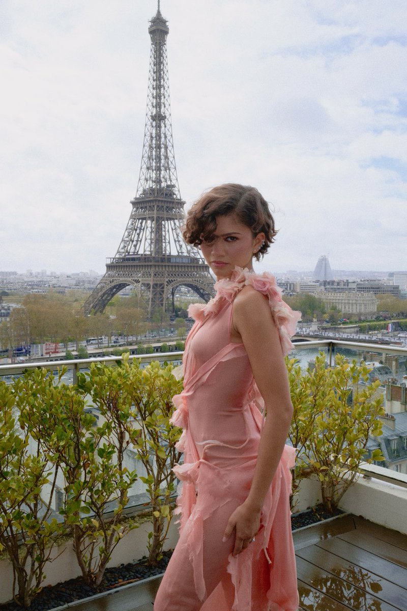 zendaya daily tweet media