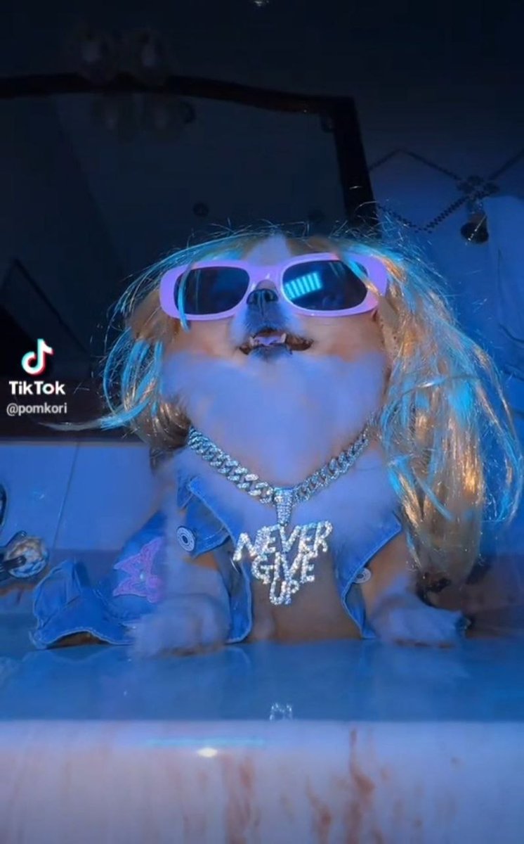 Chad 🐶 🛹 🕶️ tweet media