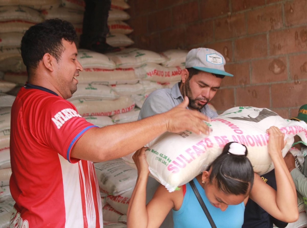 Serafín Orantes tweet media