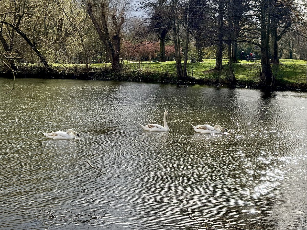 liam_lovell's tweet image. A day of sunshine and heavy showers, many of hail in Carlisle. A cold day for March with a brief high of 9°c 🌦️ #loveukweather #cumbria