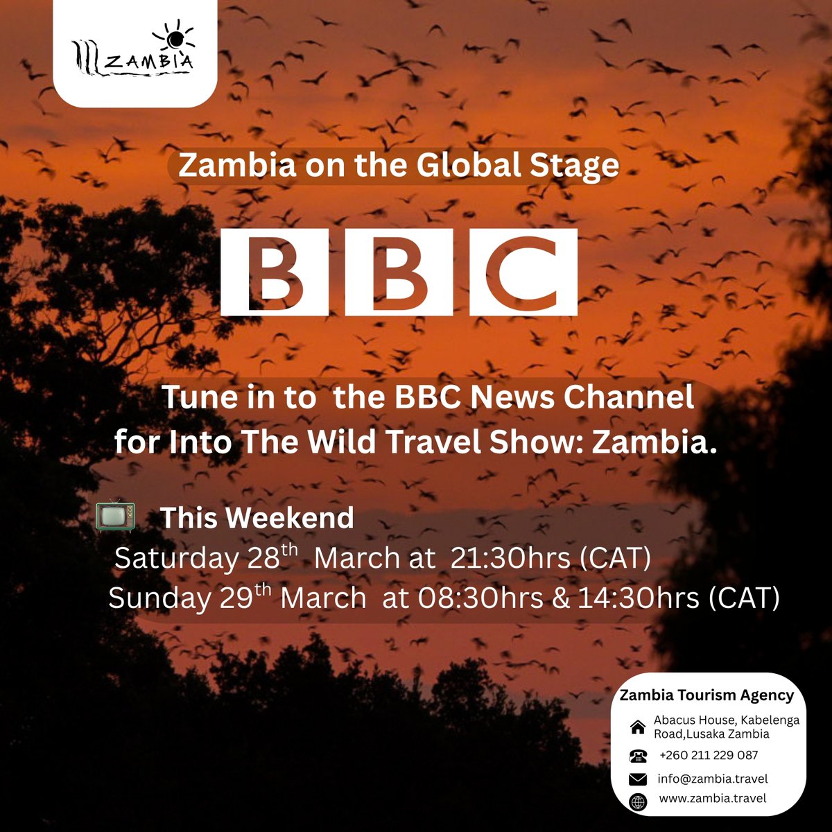 Zambia Tourism tweet media