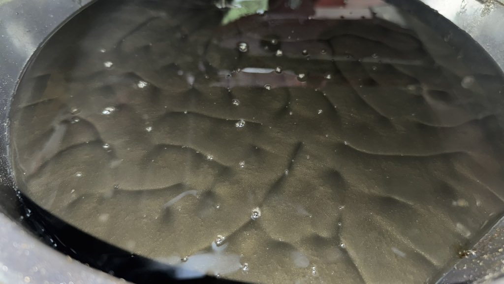 David Tracy tweet media