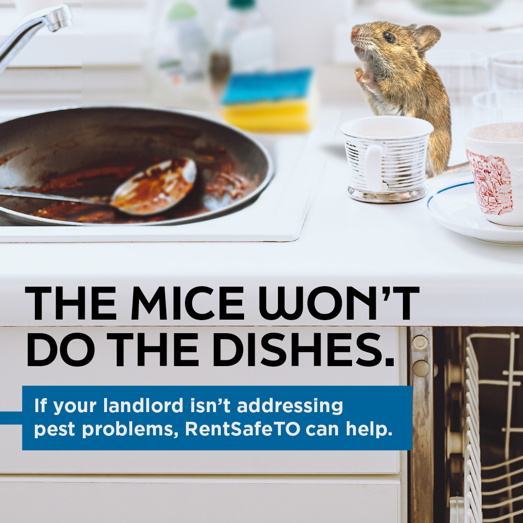 City of Toronto 🇨🇦 tweet media