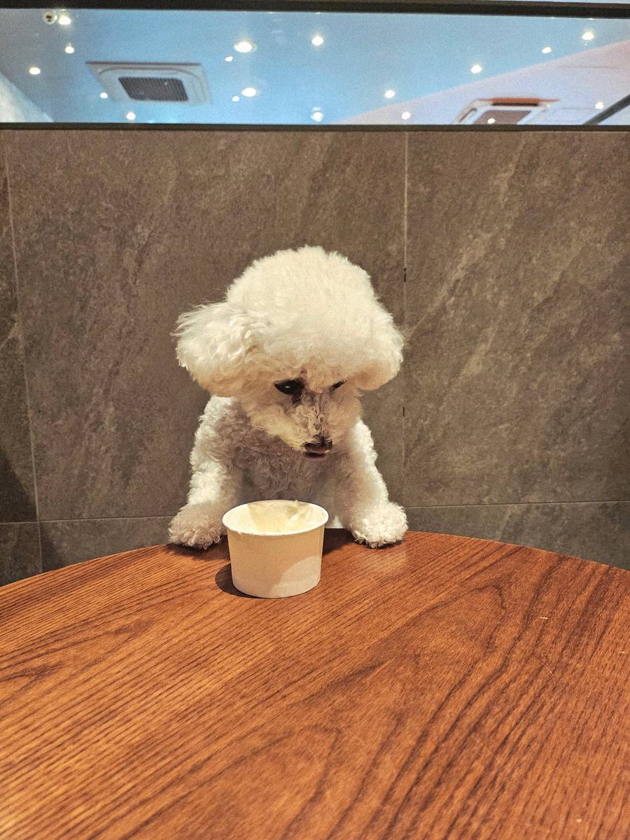 k⁷ 🧡 tweet media