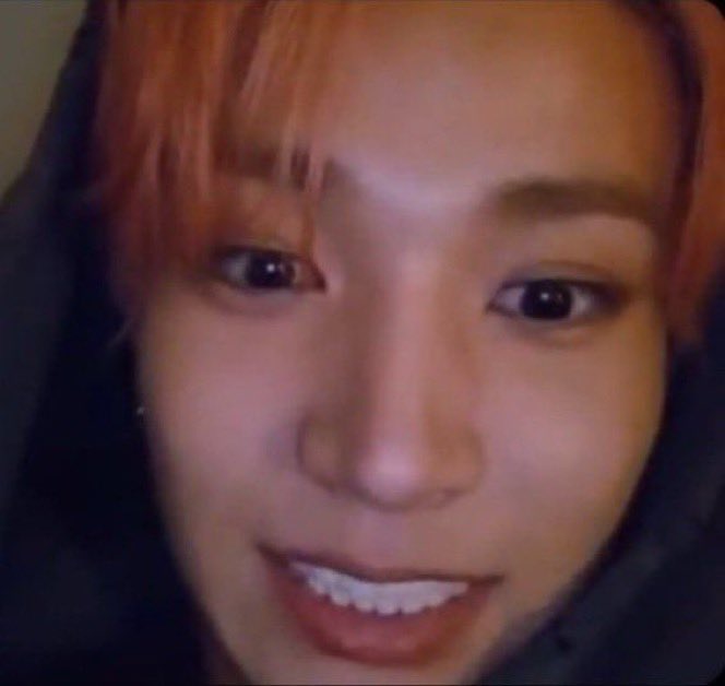 ENHYPEN IS 7 tweet media