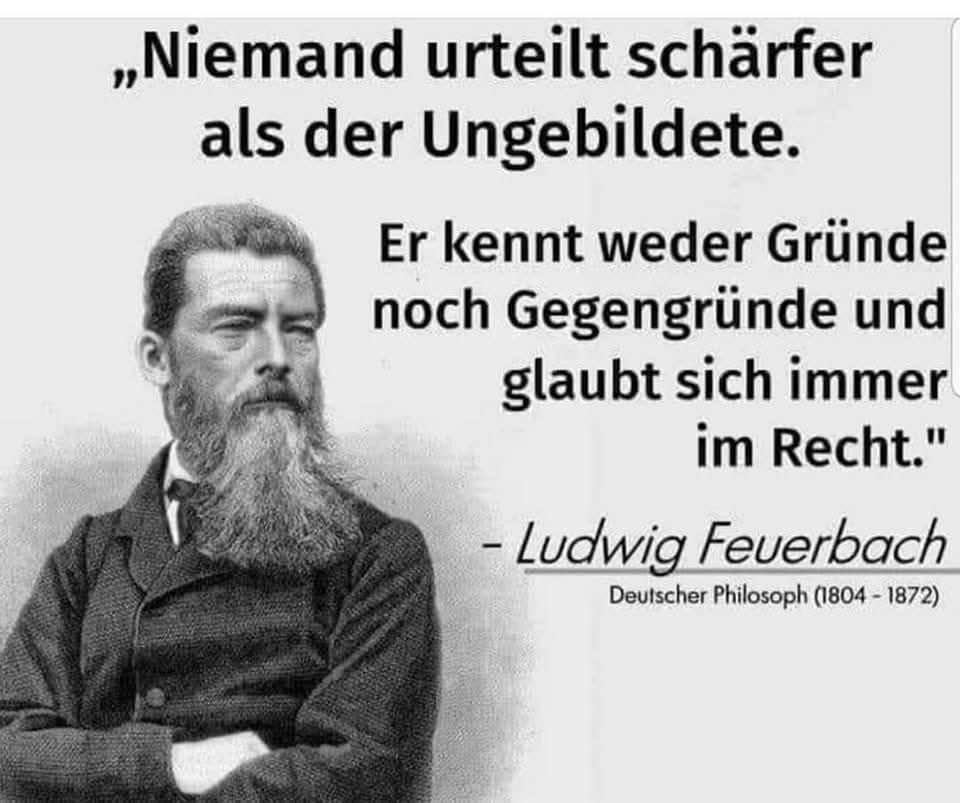 🌱helga🌿🕊️🍃 tweet media