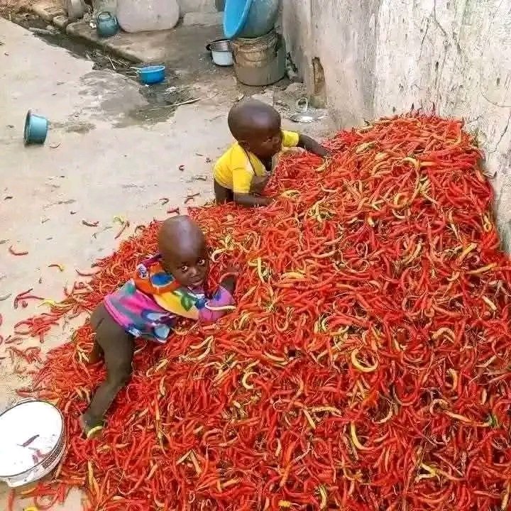 Agalijoe 🔥 tweet media