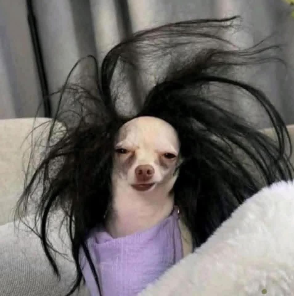 Esther Essien tweet media