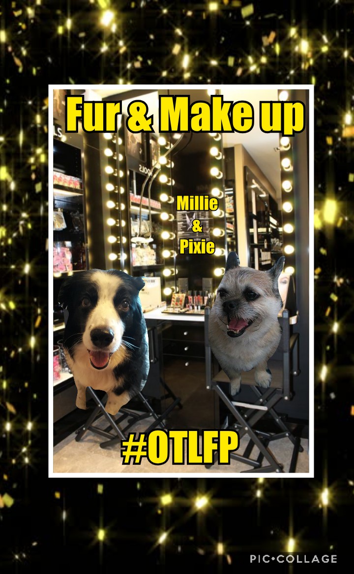 Pixie Tooth 🌈💔 tweet media