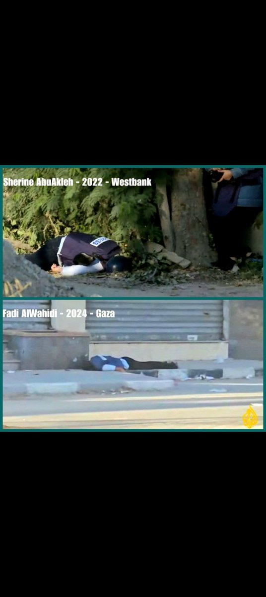 Mark Holt tweet media