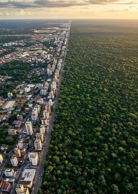 Terra Brasilis tweet media