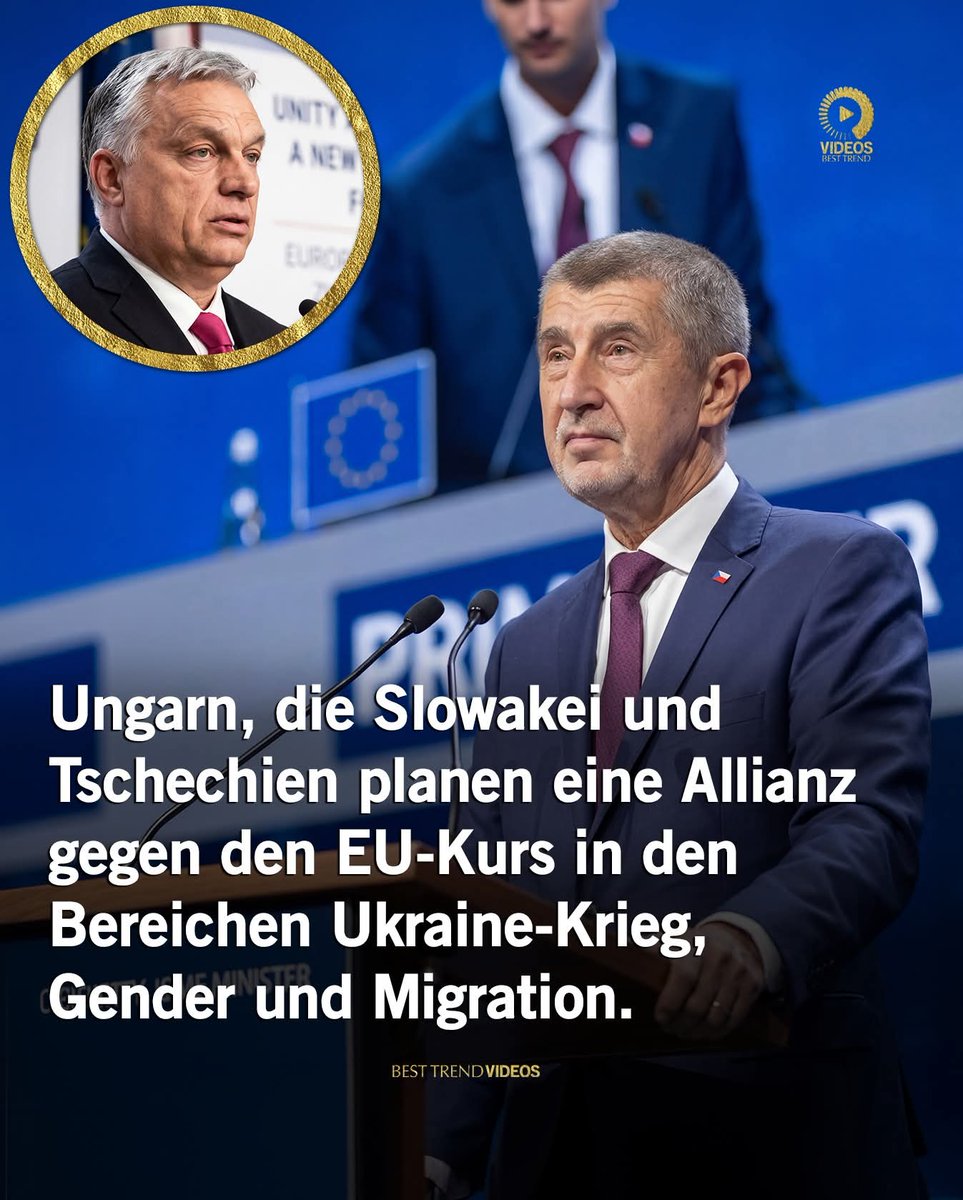 Connie 🐈‍⬛❣️ tweet media