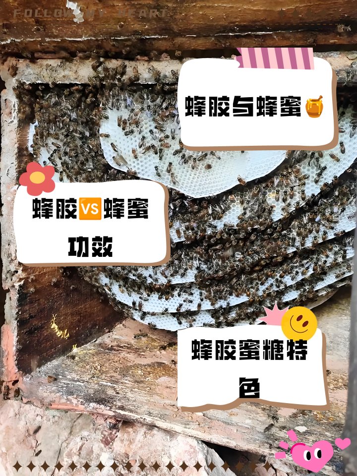 PEDRO GUTIERREZ tweet media